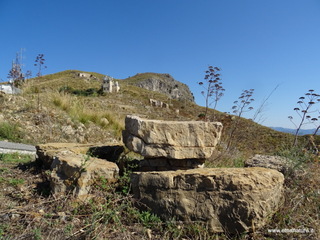 nte Venere-30-07-2020 09